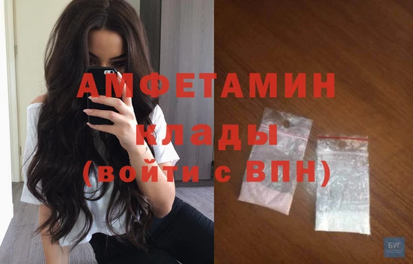 гидропоника Пересвет