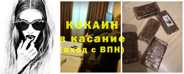 гидропоника Пересвет