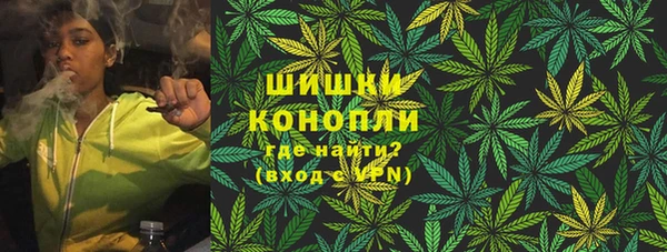 шишки Пестово
