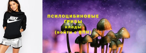 шишки Пестово