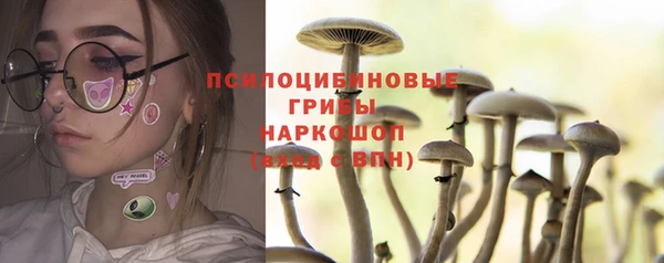 шишки Пестово