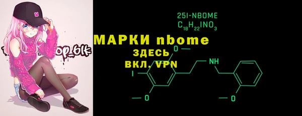 шишки Пестово