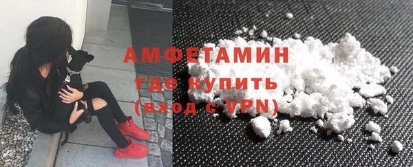 гидропоника Пересвет