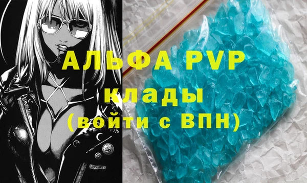шишки Пестово