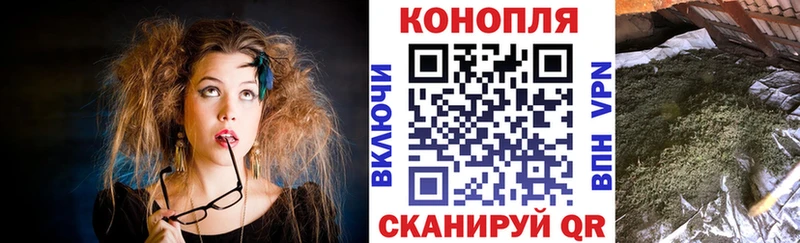 МАРИХУАНА сатива  Абдулино 